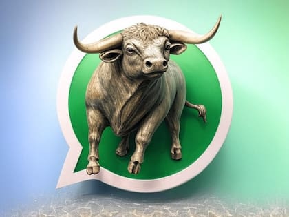 Los toros representan valentía, fuerza y perseverancia