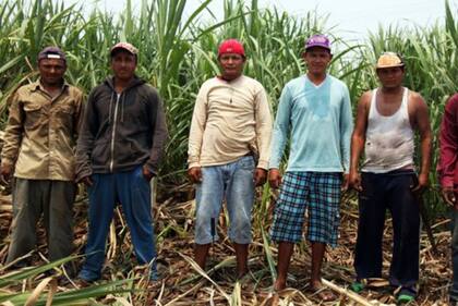 Los trabajadores de los ingenios azucareros son los más afectados por la ERCnt.