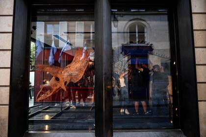 Los trabajadores ensamblan los huesos de un triceratops en una galería donde se expondrá antes de su subasta en la casa de subastas Drouot en octubre, en París, el 31 de agosto de 2021. - "Big John", el triceratops más grande conocido, más de 66 millones de años y con un esqueleto de 8 metros de largo, se exhibe en París hasta el 20 de octubre, antes de una subasta al día siguiente en el Hotel Drouot