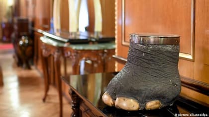 Los trabajadores postales se sorprendieron al encontrar la pata de un elefante en un paquete.