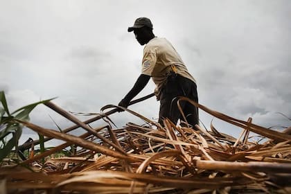 Los trabajos agrícolas suelen ser los más afectados durante los huracanes
