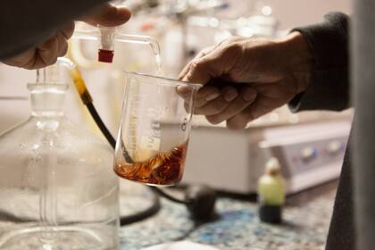 Los trabajos de laboratorio son parte fundamental de la elaboración de un vino de alta gama.