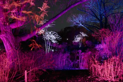 Los tradicionales espectáculos navideños de la ciudad, como el Lightscape del Jardín Botánico de Brooklyn, pueden disfrutarse por menos dinero si se va en las horas más tranquilas