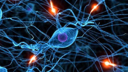 Los tratamientos están dirigidos a restaurar el patrón de actividad de las neuronas para que la ejecución del movimiento sea correcta
