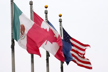 Los tres anfitriones ya saben en qué grupo estarán; México en el A, Canadá en el B y Estados Unidos en el D