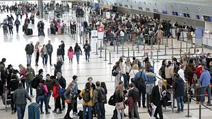 Los tres casos fueron reportados en Ezeiza en los últimos días de octubre