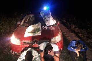 Detenidos por romper un silobolsa: la policía avanza con la investigación