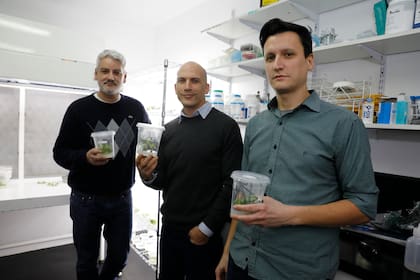 Los tres emprendedores en el laboratorio de Cálice Biotech