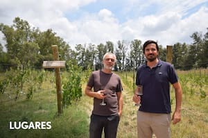 Los tres proyectos vitivinícolas forman parte del programa “Vinos Buenos Aires”, una iniciativa para potenciar el enoturismo bonaerense.