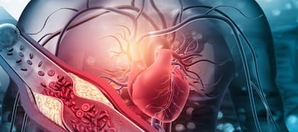 Los triglicéridos son grasas que circulan por la sangre dentro de partículas llamadas lipoproteínas