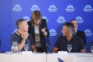 La CGT fue al Senado y tildó de “inconstitucional” el proyecto de reforma laboral que impulsa el Gobierno