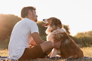 Los trucos para que tu perro sea más feliz y garantizar su bienestar