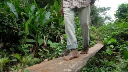 Los tsimanes llegan a hacer un promedio de 17.500 pasos diarios. Y muchos andan descalzos gran parte del día