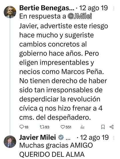 Los tuits de Benegas Lynch y Milei después de las PASO de 2019