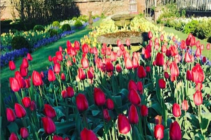 Los tulipanes son los protagonistas de este jardín privado
