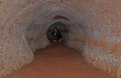 Los túneles son estructuras enormes que se conectan entre sí (Foto: Earth Touch News)