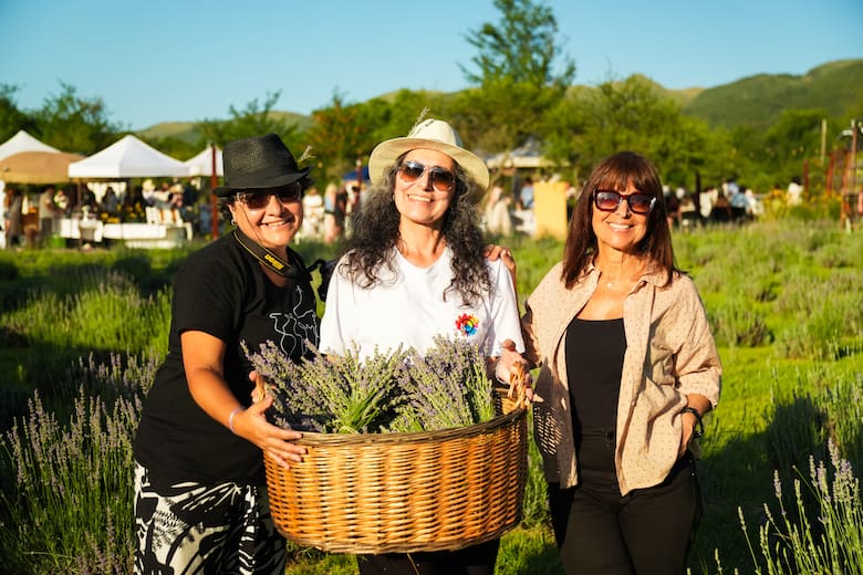 De cero a atractivo turístico: el boom de las lavandas