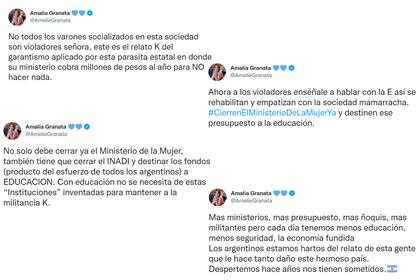 Los tweets de Amalia Granata contra Elizabeth Gómez Alcorta