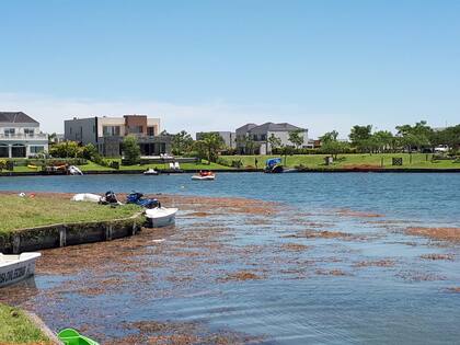 Los últimos trabajos de búsqueda previos al hallazgo de Guido Orlando, ahogado en la laguna del barrio Vistas, de Puertos de Escobar