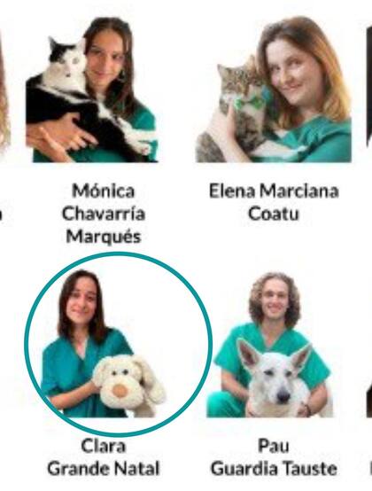 Los usuarios advirtieron la presencia de un peluche en la fotografía