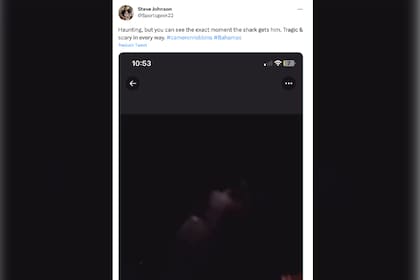 Los usuarios apuntan a que Robbins fue atacado por un tiburón