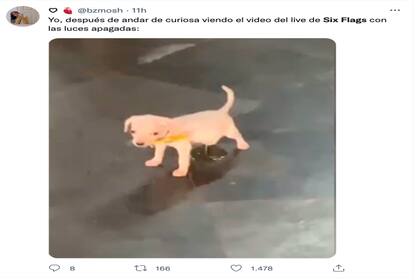 Los usuarios de redes sociales compartieron sus impresiones sobre el misterioso video de Six Flags
