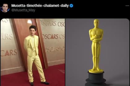 Los usuarios de redes sociales se divirtieron con el look de Timothée Chalamet en los Oscar (Foto: Captura / X)