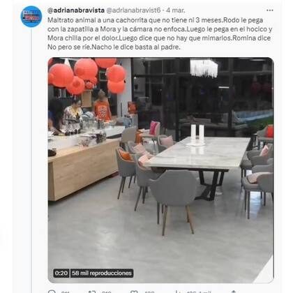 Los usuarios de Twitter subieron el video de Rodo que golpea a Mora en Gran Hermano y hubo indignación entre los seguidores