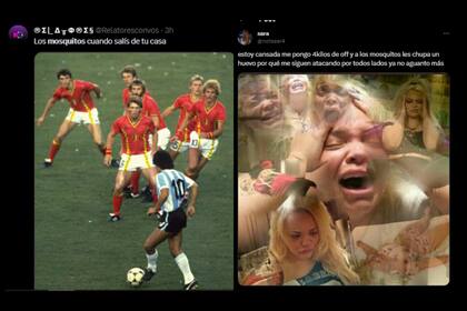 Los usuarios en las redes sociales expresaron cómo se sintieron con la invasión de mosquitos (Foto X)