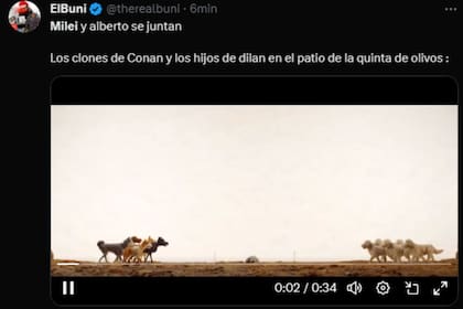 Los usuarios imaginaron el encuentro entre las mascotas de Milei y Fernández (Captura X)