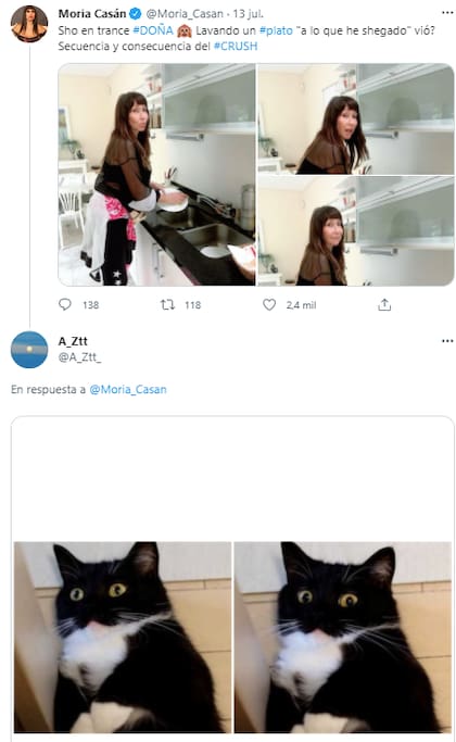 Los usuarios reaccionaron con memes y comentarios a la foto de Moria Casán lavando los platos.