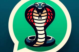 Cómo activar el “modo Cobra Kai” en WhatsApp