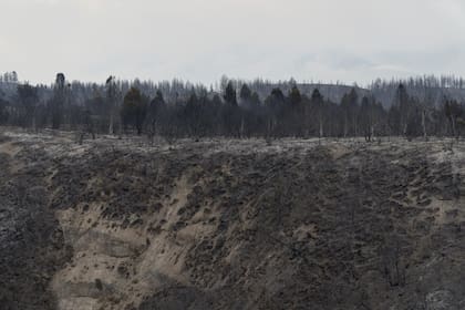 Los valles que rodean a Cholila, arrasados