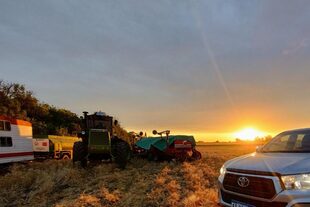 Los valores de los campos se fueron recomponiendo y hoy están estabilizados