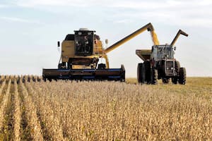 Tiempos para ser cautos con el trigo y el maíz, pero para actuar en el mercado de soja