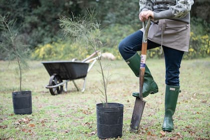 Los valores por hora y por mes para los caseros en septiembre de 2025