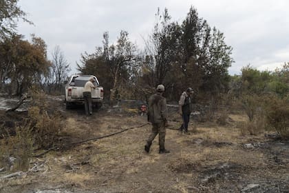 Los vecinos de Cholila recorren las zonas para hacer guardias de cenizas