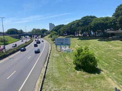 Los vecinos de Lugano denuncian la tala indiscriminada de árboles para la reconversión de la autopista Dellepiane