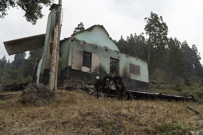 Los vecinos de Villa Lago Rivadavia están en alerta desde hace al menos una semana