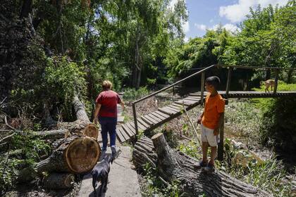 Los vecinos del Delta tuvieron que cortar por sus propios medios las ramas de miles de árboles caídos que atravesaron sus caminos