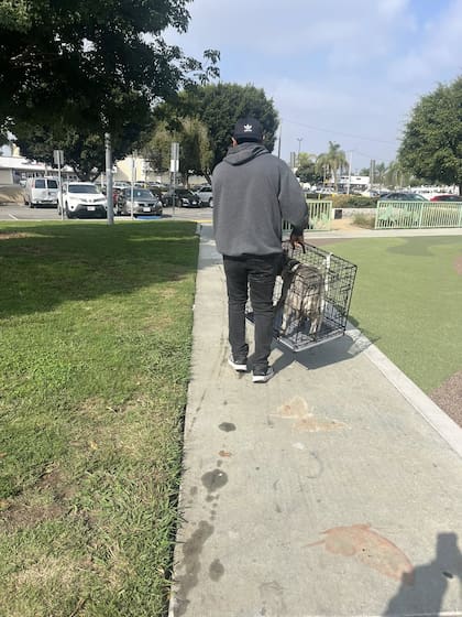 Los vecinos dijeron que hacía casi un año que el perro vagaba por las cercanías del parque.