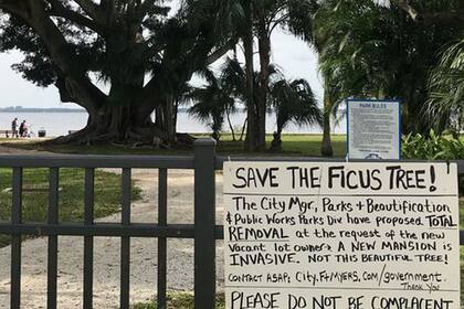 Los vecinos iniciaron una campaña para frenar la tala