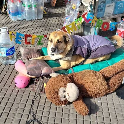 Los vecinos le festejaron el cumpleaños y recibió regalos.