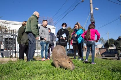 Los vecinos salieron a la calle para impedir que se llevaran a Pancho