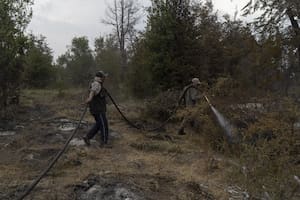 El ingenioso plan de dos hermanos para salvar la casa familiar de las llamas en Cholila