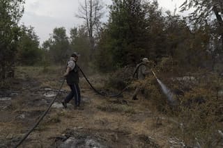 El ingenioso plan de dos hermanos para salvar la casa familiar de las llamas en Cholila
