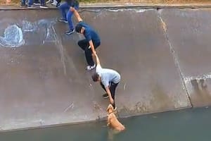 Los vecinos se unieron para realizar un increíble salvataje (Captura: @nicogallartdo)