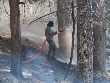 Los vecinos también se suman al combate del incendio