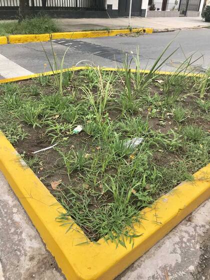 Los vecinos temen que los canteros se llenen de basura