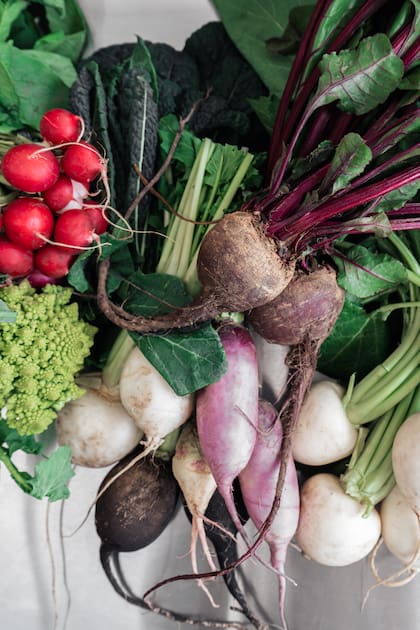 Los vegetales de la huerta propia